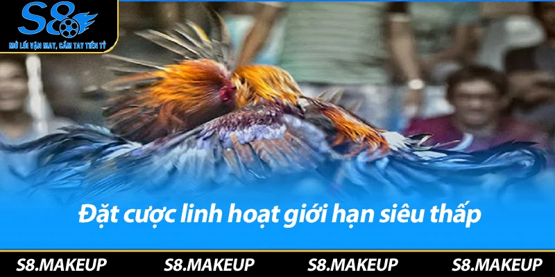 Đặt cược linh hoạt giới hạn siêu thấp