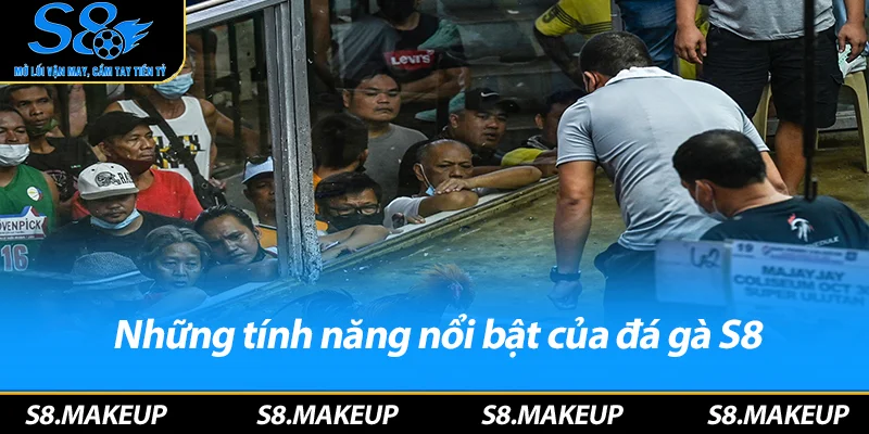 Những tính năng nổi bật của đá gà S8