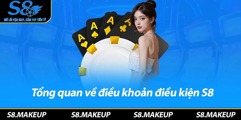 Tổng quan về điều khoản điều kiện S8